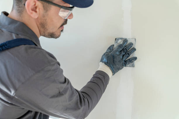 Best Eco-Friendly and Low-VOC Painting  in Jackson, CA